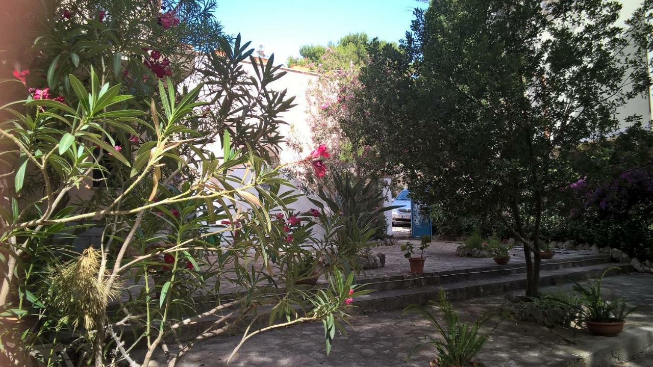 B&B Villa Il Carrubo San Vito Lo Capo Luaran gambar